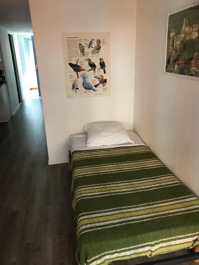 Espace Grenouillit Le Puy En Velay Экстерьер фото